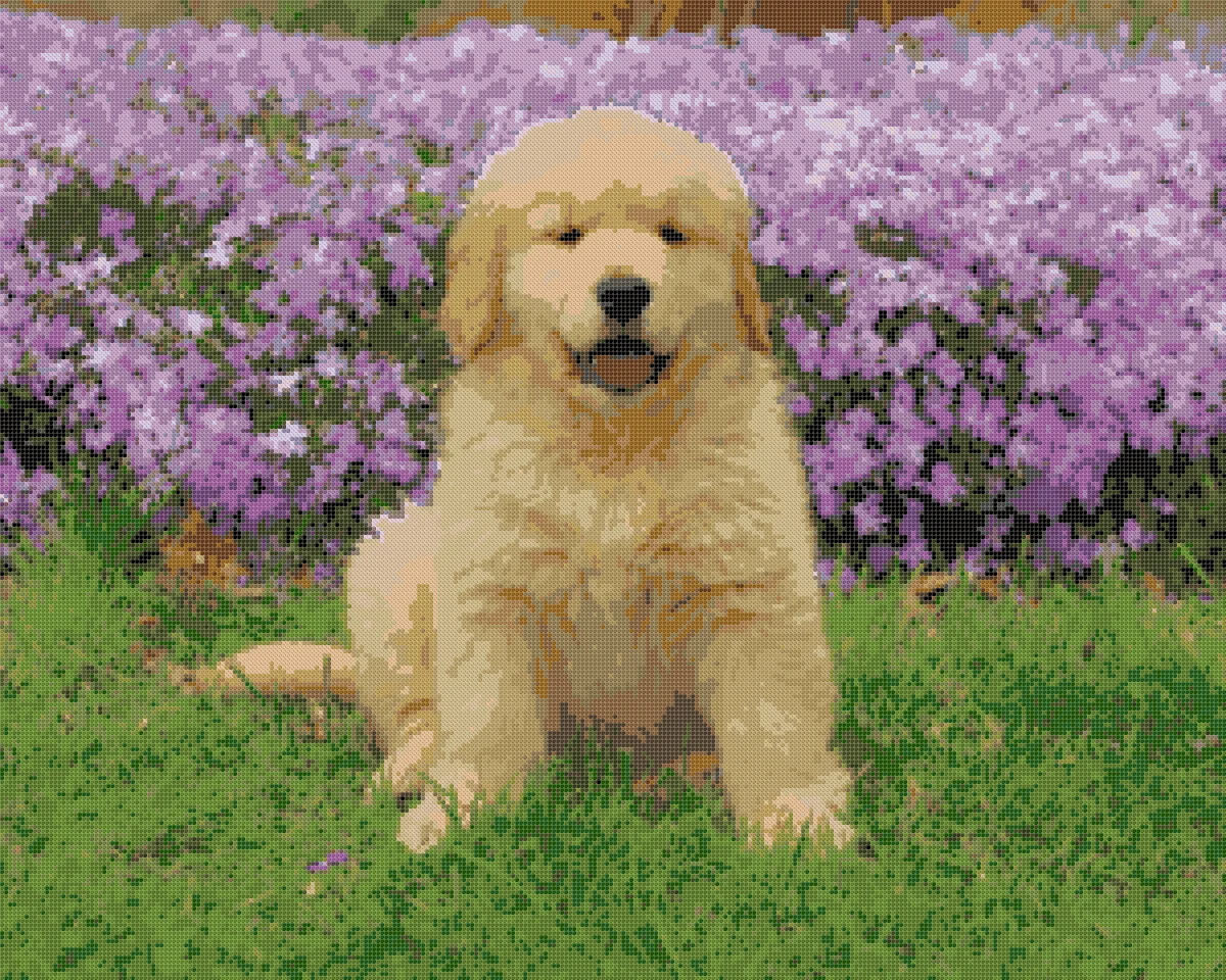 A golden retriever puppy turned into a cross stitch pattern with 38 DMC colors, shown as finished stitches